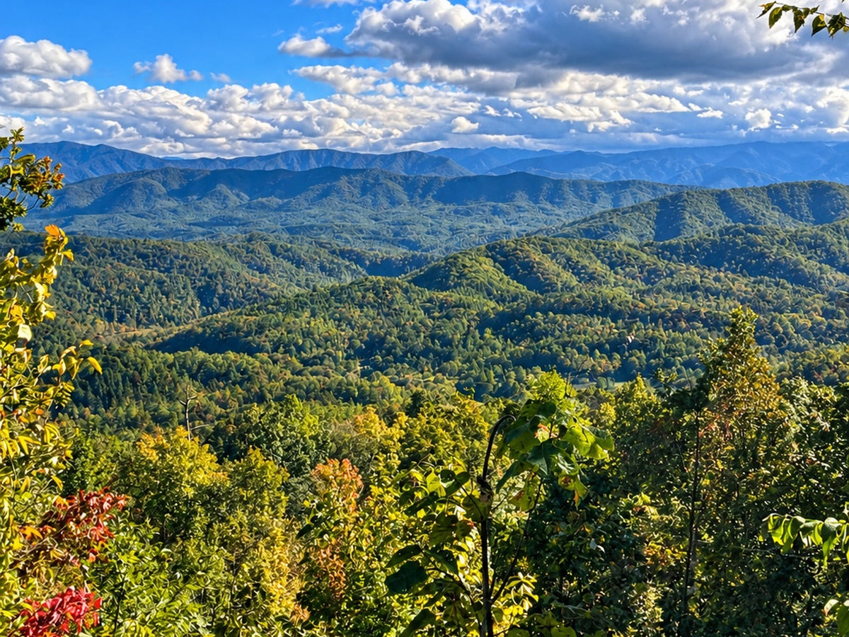 Original Blue Ridge Mountains trip photograph by Southern Valor Outfitters founder